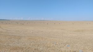 Селановци