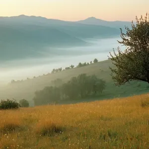 Преображение, и преломът в природата!